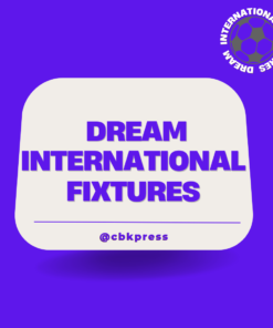 Dream International Fixtures - Purple