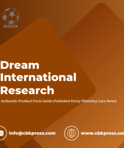 Dream International Research - Brown