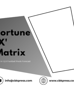 Fortune X Matrix