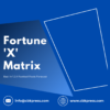 Fortune X Matrix - Blue