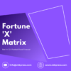 Fortune X Matrix - Purple