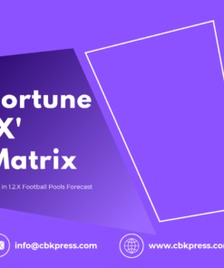 Fortune X Matrix - Purple