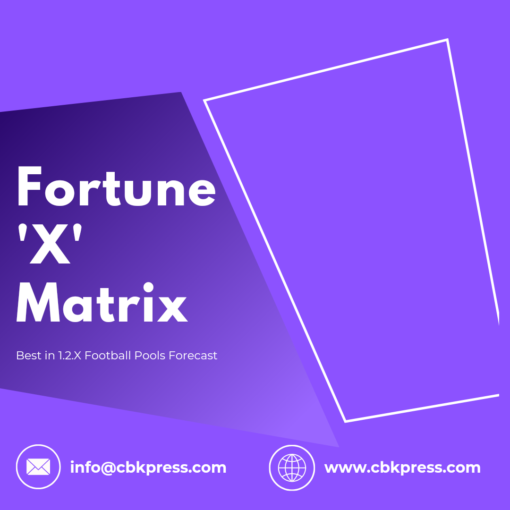 Fortune X Matrix - Purple