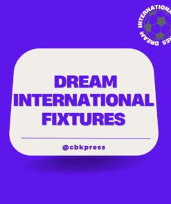 Dream International Fixtures Purple