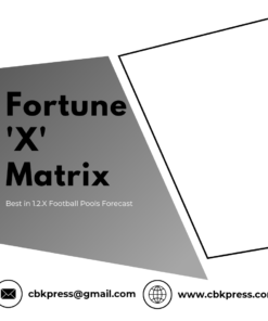 Fortune X Matrix