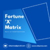 Fortune X Matrix Blue